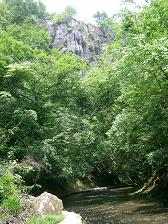 c0073987_0142614.jpg