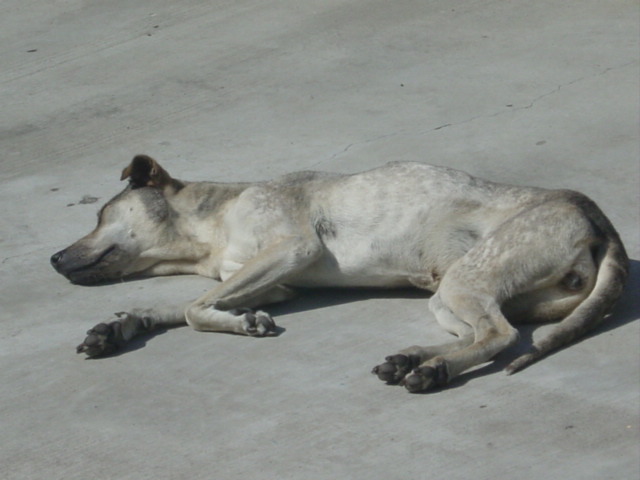c0048504_13514510.jpg
