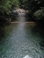 d0051707_1627420.jpg