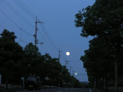 b0063922_5135223.jpg