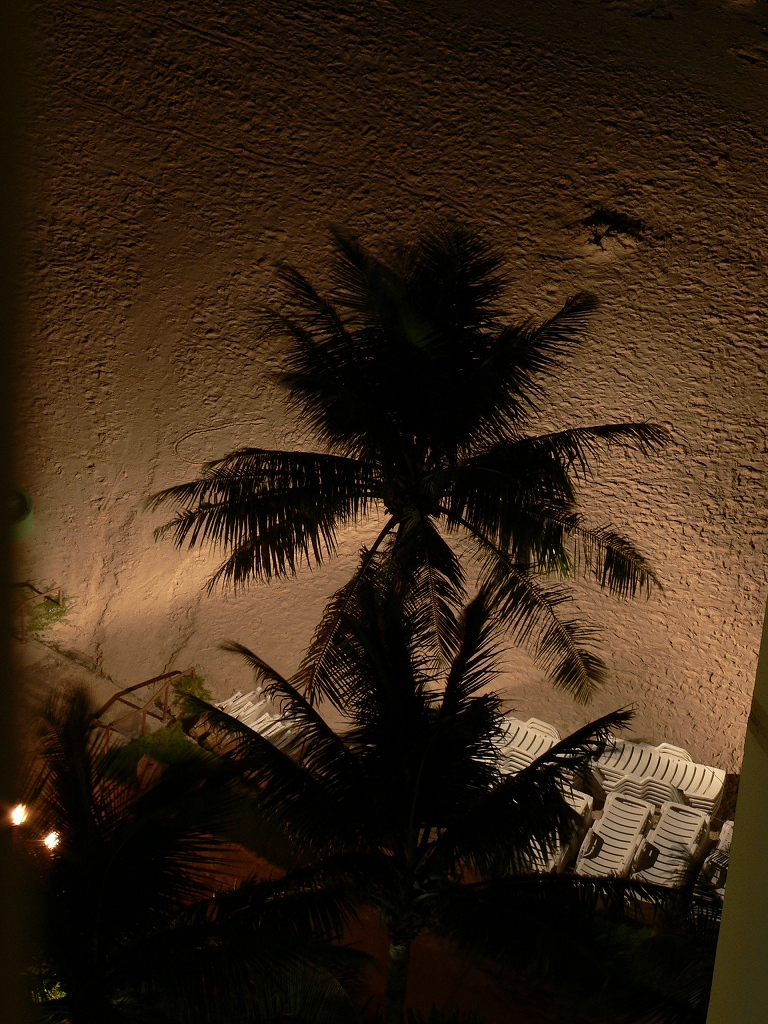 d0066031_21393447.jpg