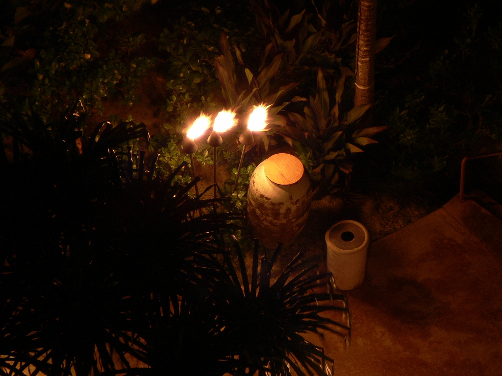 d0066031_21404563.jpg