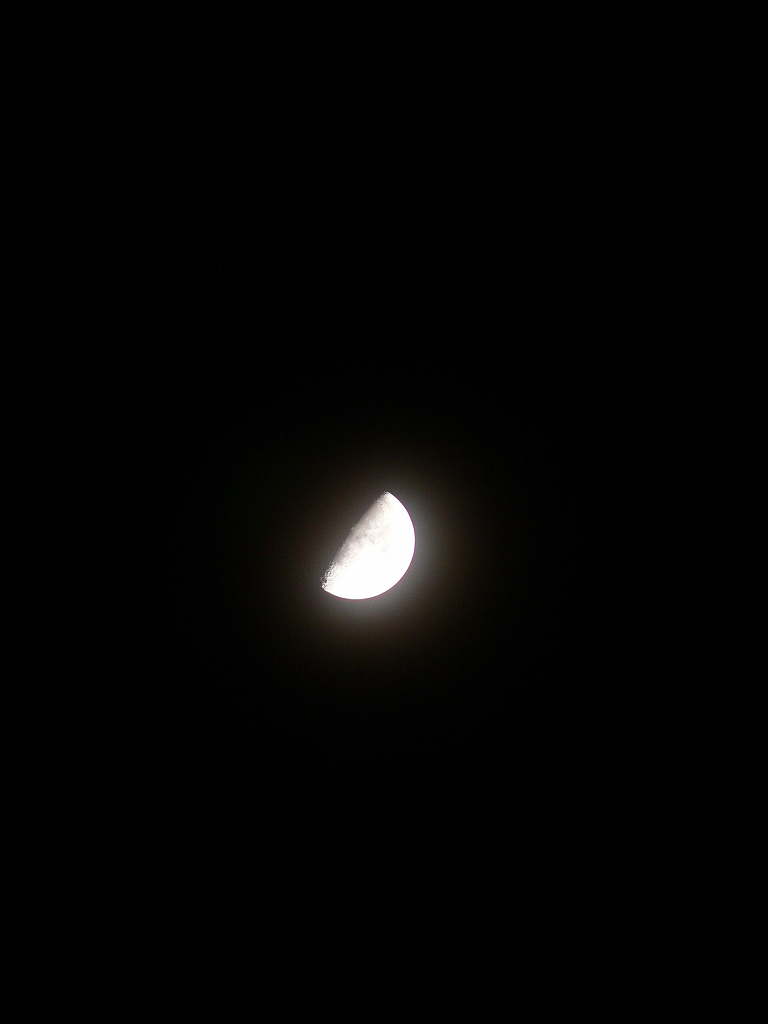 d0066031_21494776.jpg