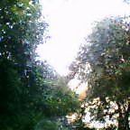 c0046340_5382254.jpg