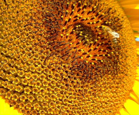 b0015260_973867.jpg