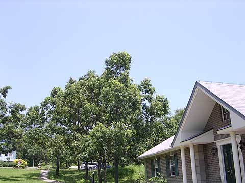 d0019169_0242938.jpg