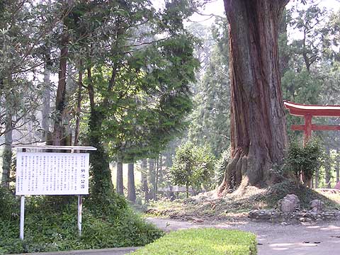 d0019169_0293832.jpg
