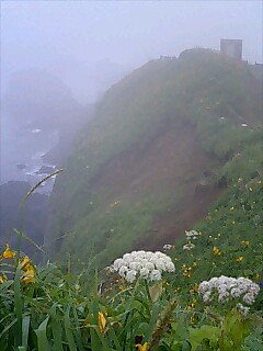 b0010882_1913854.jpg