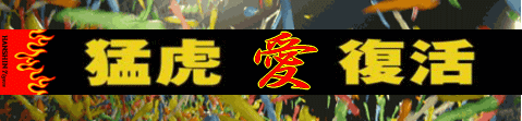 a0019994_1541532.gif