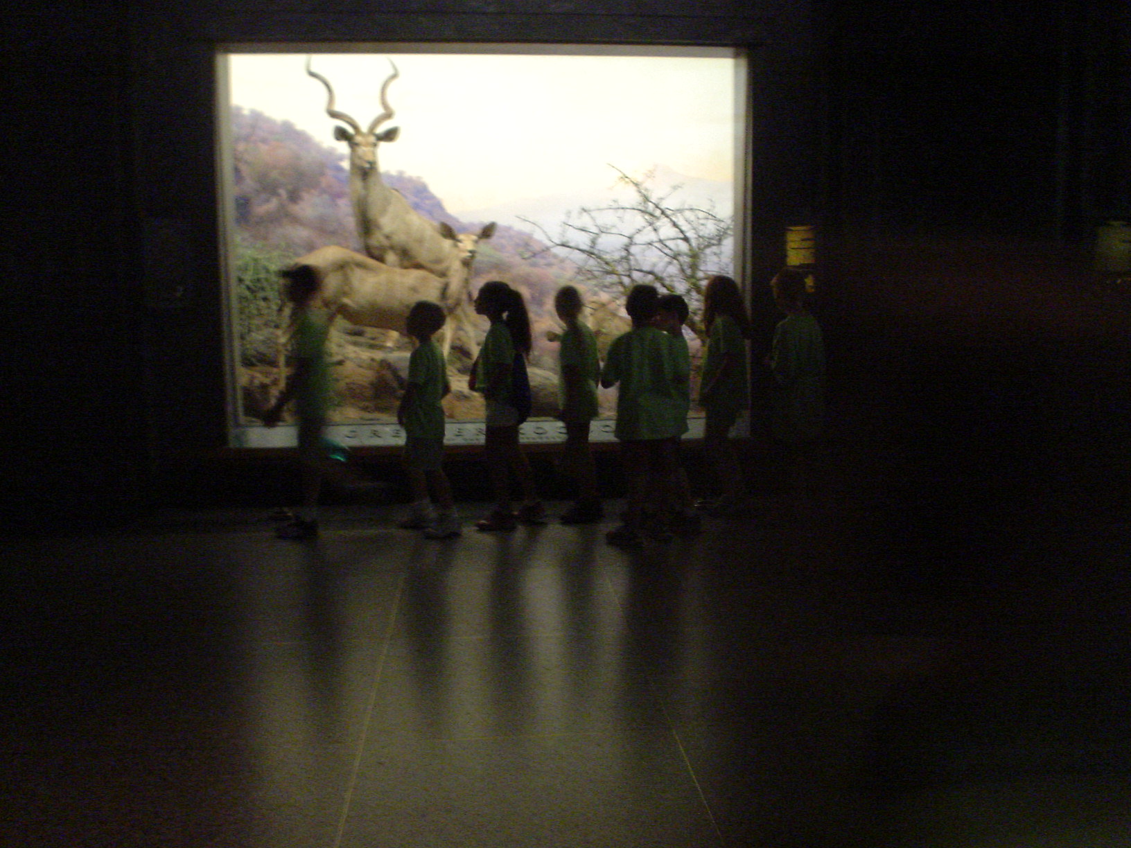 c0062495_10551441.jpg