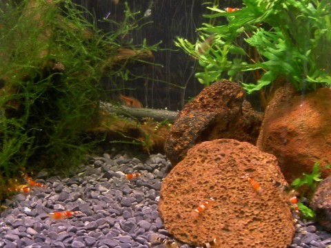 b0020307_11503673.jpg