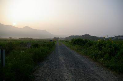 b0052108_10391017.jpg