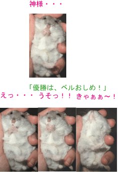 c0032408_1046335.gif