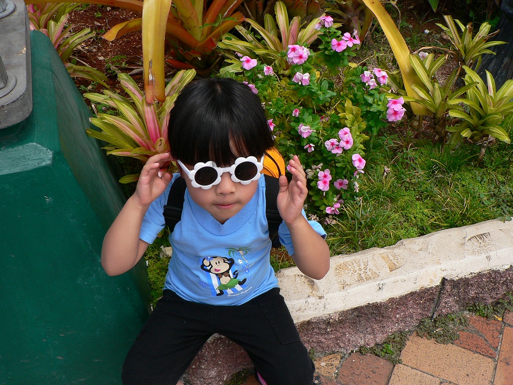 d0066031_20344068.jpg