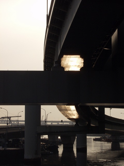 b0031237_814515.jpg
