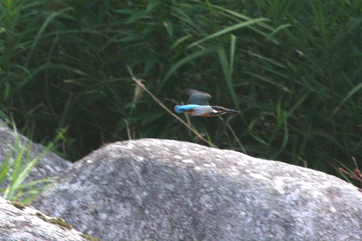 c0075539_18421718.jpg