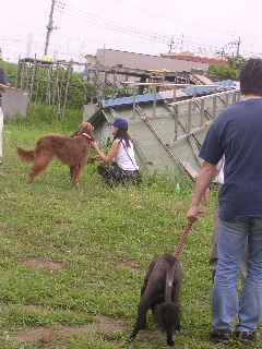 c0065643_16131360.jpg