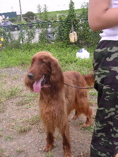 c0065643_16145851.jpg