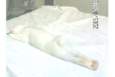 c0011446_2030221.jpg