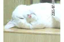 c0011446_20315895.jpg