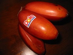 b0039373_10493143.jpg