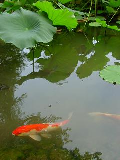 c0026178_14245087.jpg