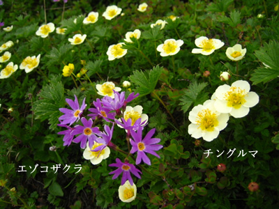 c0031085_23172510.jpg