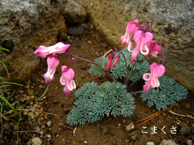 c0031085_23175713.jpg