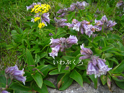 c0031085_23183488.jpg