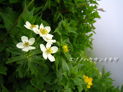 c0031085_23201580.jpg