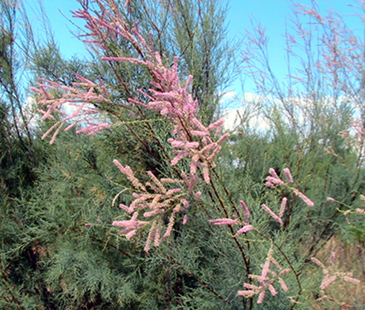c0016987_1949092.jpg