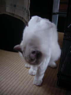 c0024410_20524661.jpg