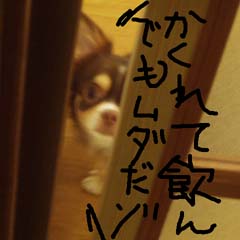c0036617_8495992.jpg