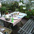 e0011321_2301027.jpg