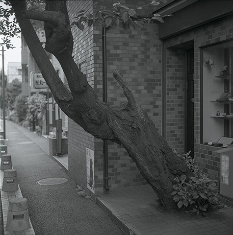 e0002323_19142356.jpg