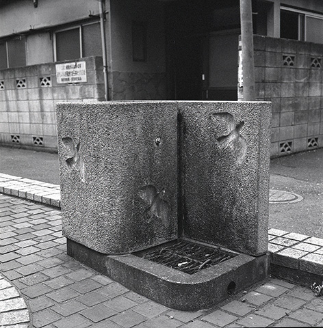e0002323_1954256.jpg