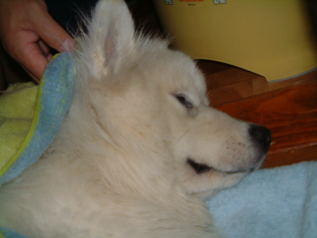 e0024126_2034061.jpg