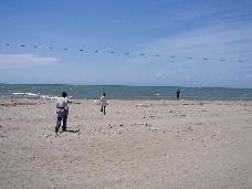 d0043828_215295.jpg