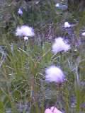 a0020929_211334.jpg