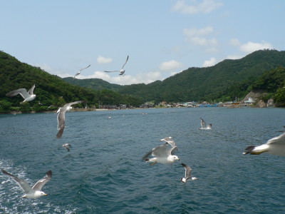 b0054330_13321343.jpg