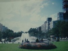 d0039141_135951.jpg