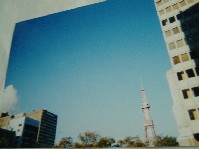 d0039141_1394735.jpg