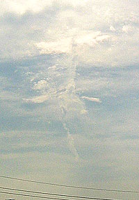 d0052342_1524256.jpg