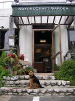 a0035678_20353943.jpg