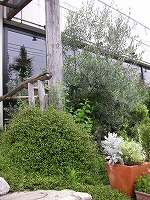 a0035678_20363215.jpg