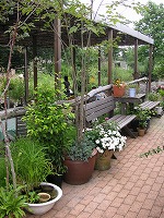 a0035678_20371389.jpg