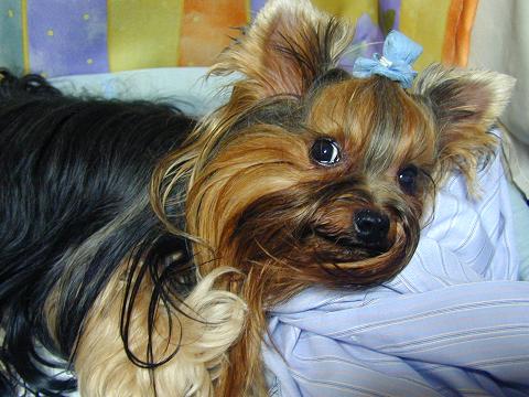 c0031582_1244144.jpg