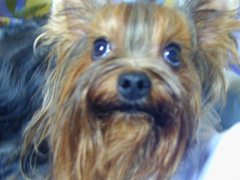 c0031582_1253352.jpg