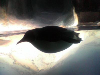 e0030085_0445190.jpg