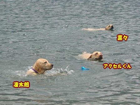 c0028792_2222159.jpg